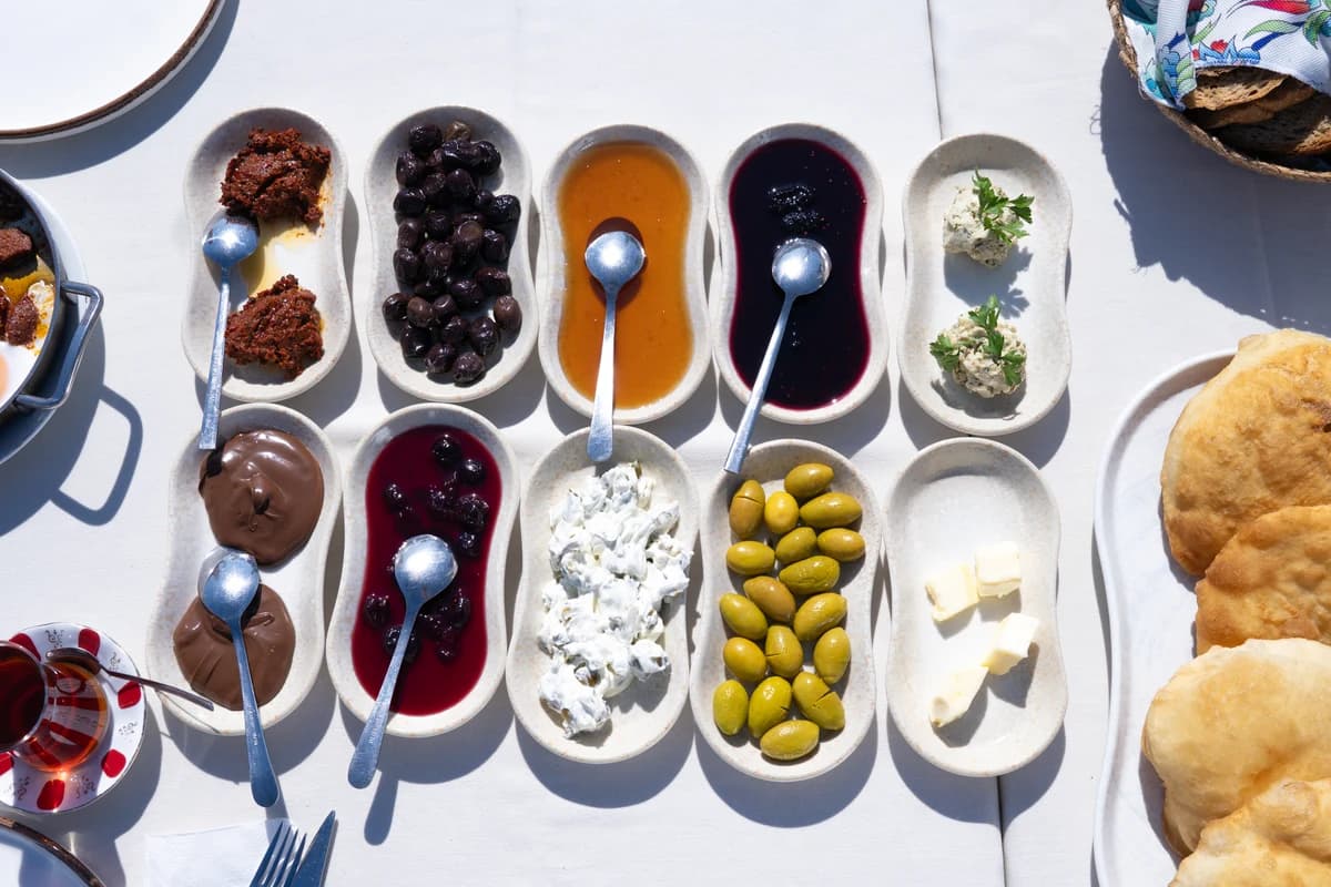 Zeytin ağaçları gölgesinde meditasyon ve inziva